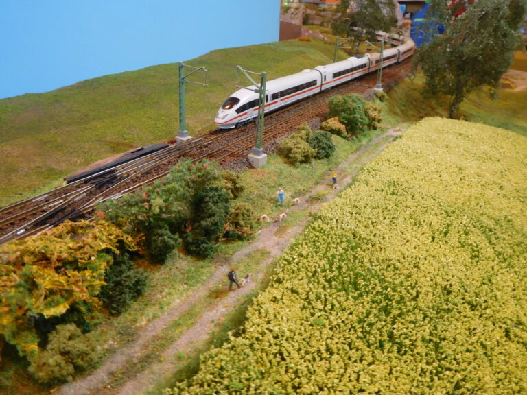 Modellbahnfreunde Zenngrund